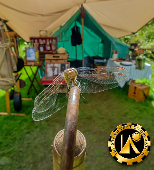 The Steam Tent Co-operative at the Wilderness Gathering.